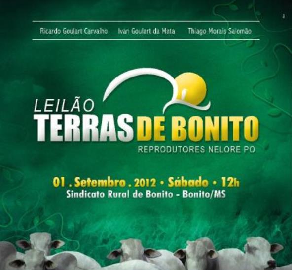 LEILÃO TERRAS DE BONITO - BONITO/MS