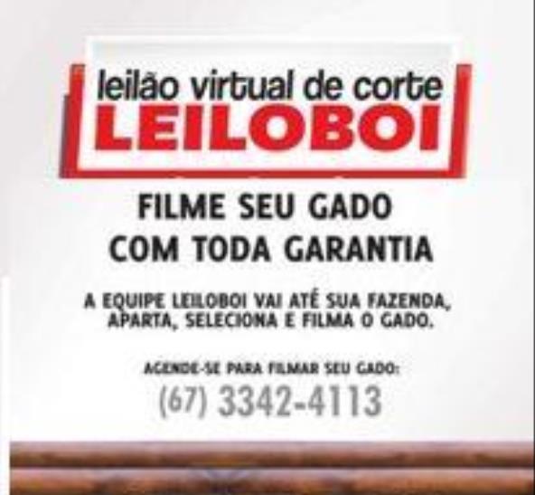 LEILÃO VIRTUAL LEILOBOI DE SEGUNDA - Clique aqui e veja vídeo dos lotes