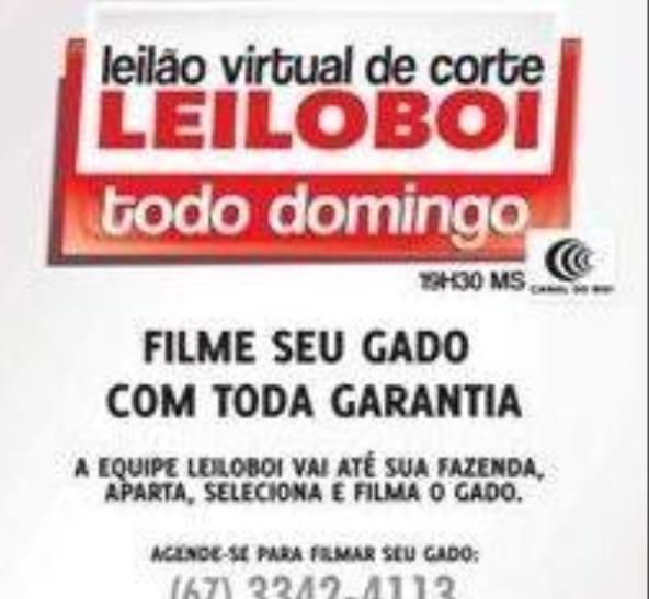 LEILÃO LEILOBOI VIRTUAL DE CORTE - clique aqui e veja os videos dos lotes