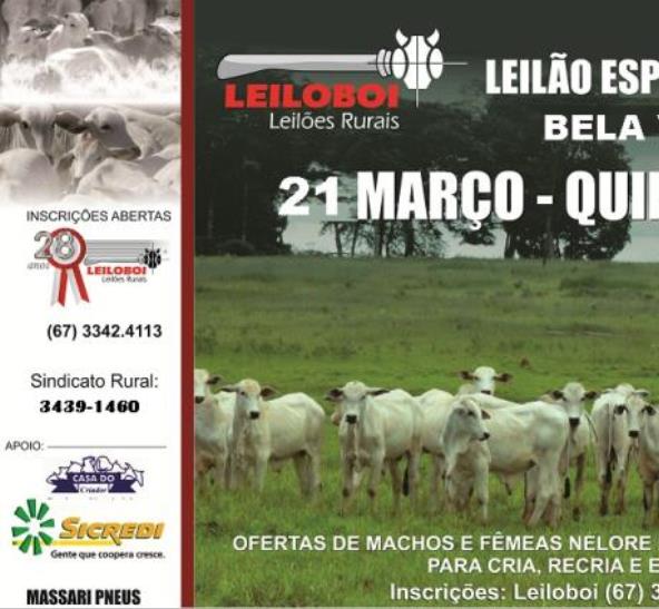 LEILÃO LEILOBOI ESPECIAL DE CORTE - BELA VISTA/MS