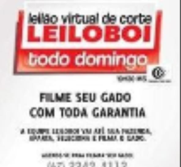 LEILÃO LEILOBOI VIRTUAL DE CORTE - clique aqui e veja os videos dos leilões