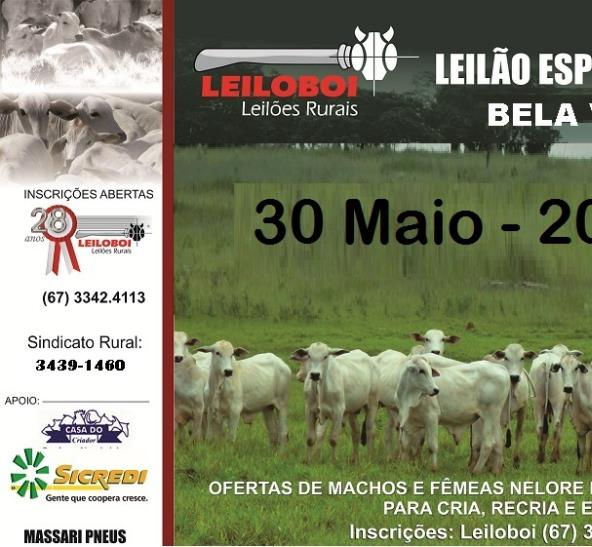 LEILÃO LEILOBOI ESPECIAL DE CORTE - BELA VISTA-MS