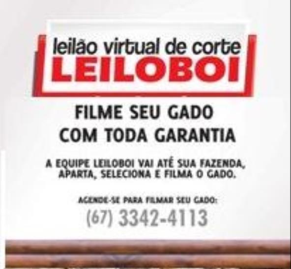 LEILÃO LEILOBOI VIRTUAL DE TERÇA-FEIRA