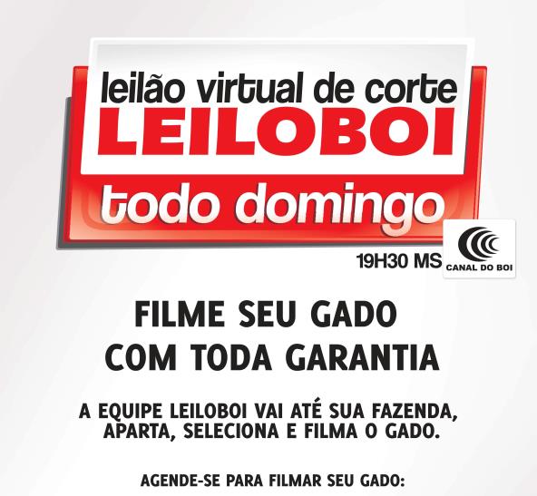 LEILÃO LEILOBOI VIRTUAL DE CORTE