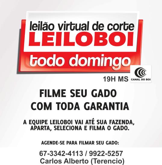 LEILÃO LEILOBOI VIRTUAL DE CORTE