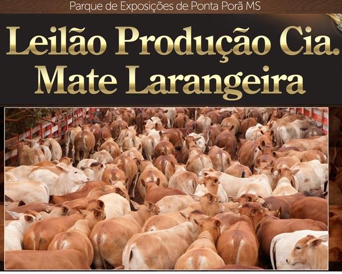 5o. LEILÃO PRODUÇÃO CIA. MATE LARANGEIRA - EXPORÃ/2016