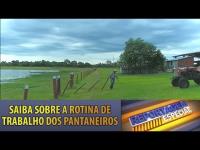 Programa Jornada: A rotina dos trabalhadores rurais do Pantanal