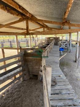 5.573 HECTARES - 130 KM DE BONITO/MS