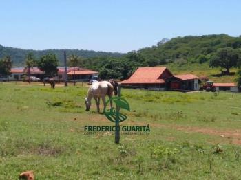 4.200 HECTARES - 35 KM DE CORUMBA/MS