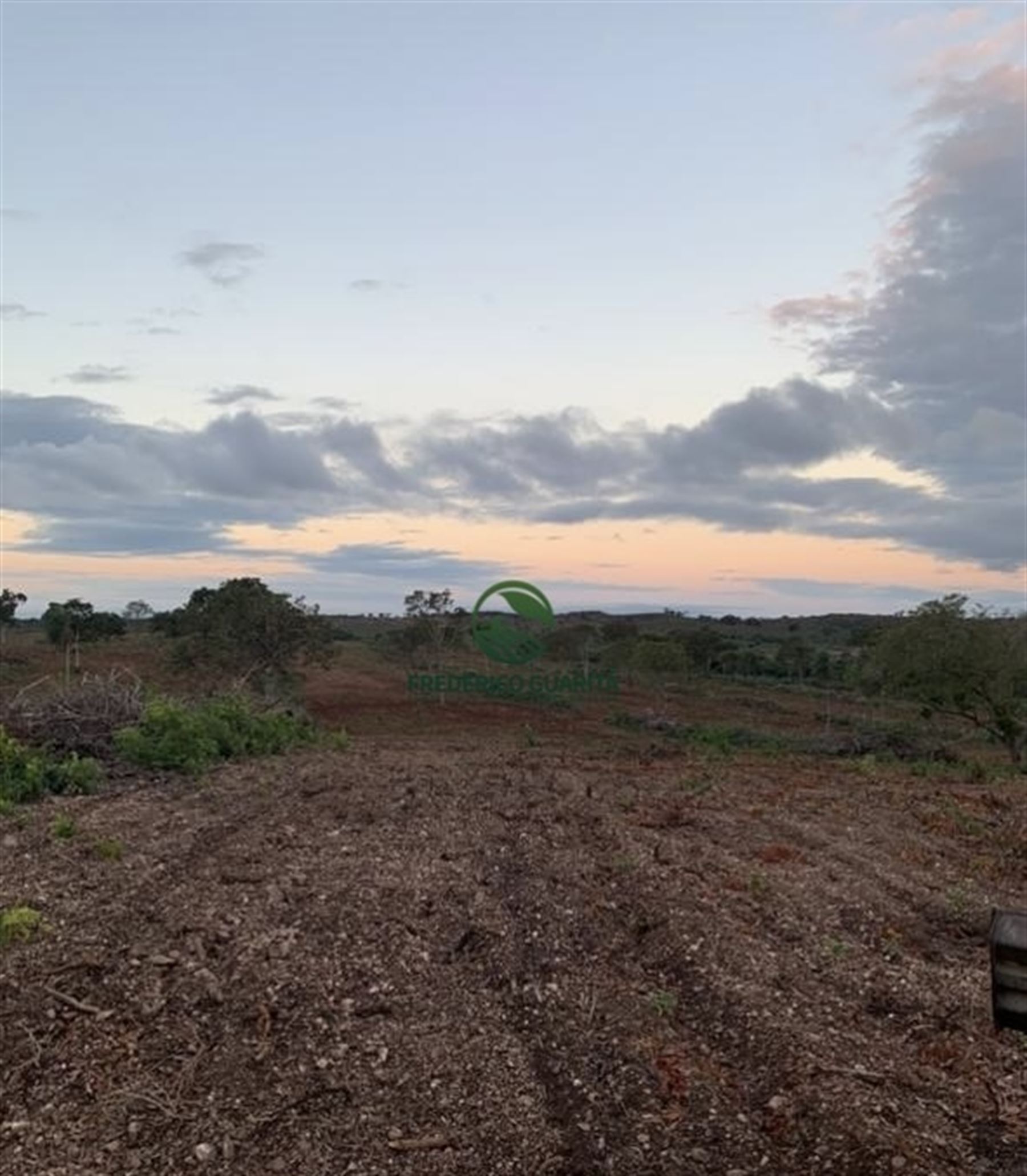 820 HECTARES - 45 KM DE ANASTACIO/MS