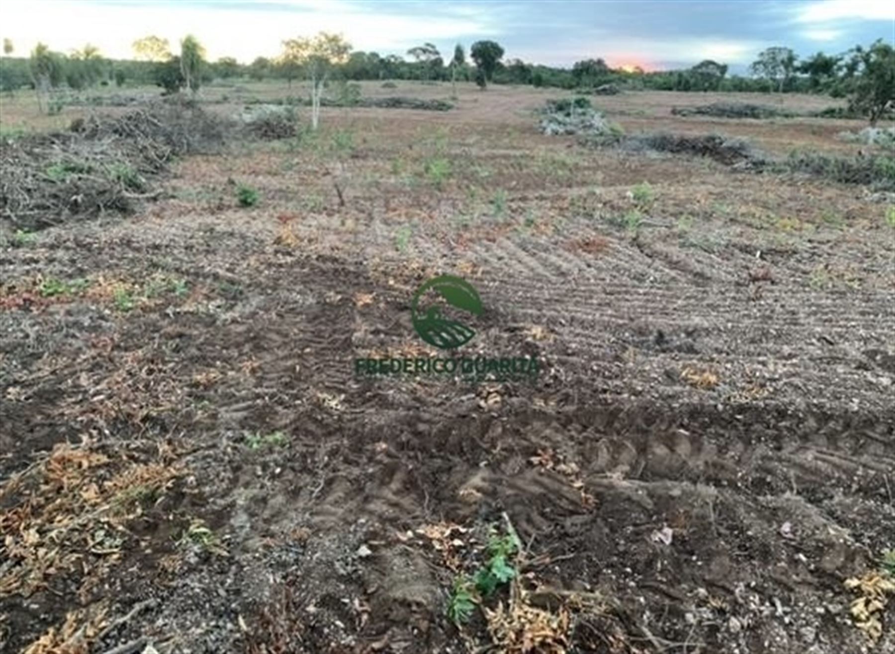 820 HECTARES - 45 KM DE ANASTACIO/MS