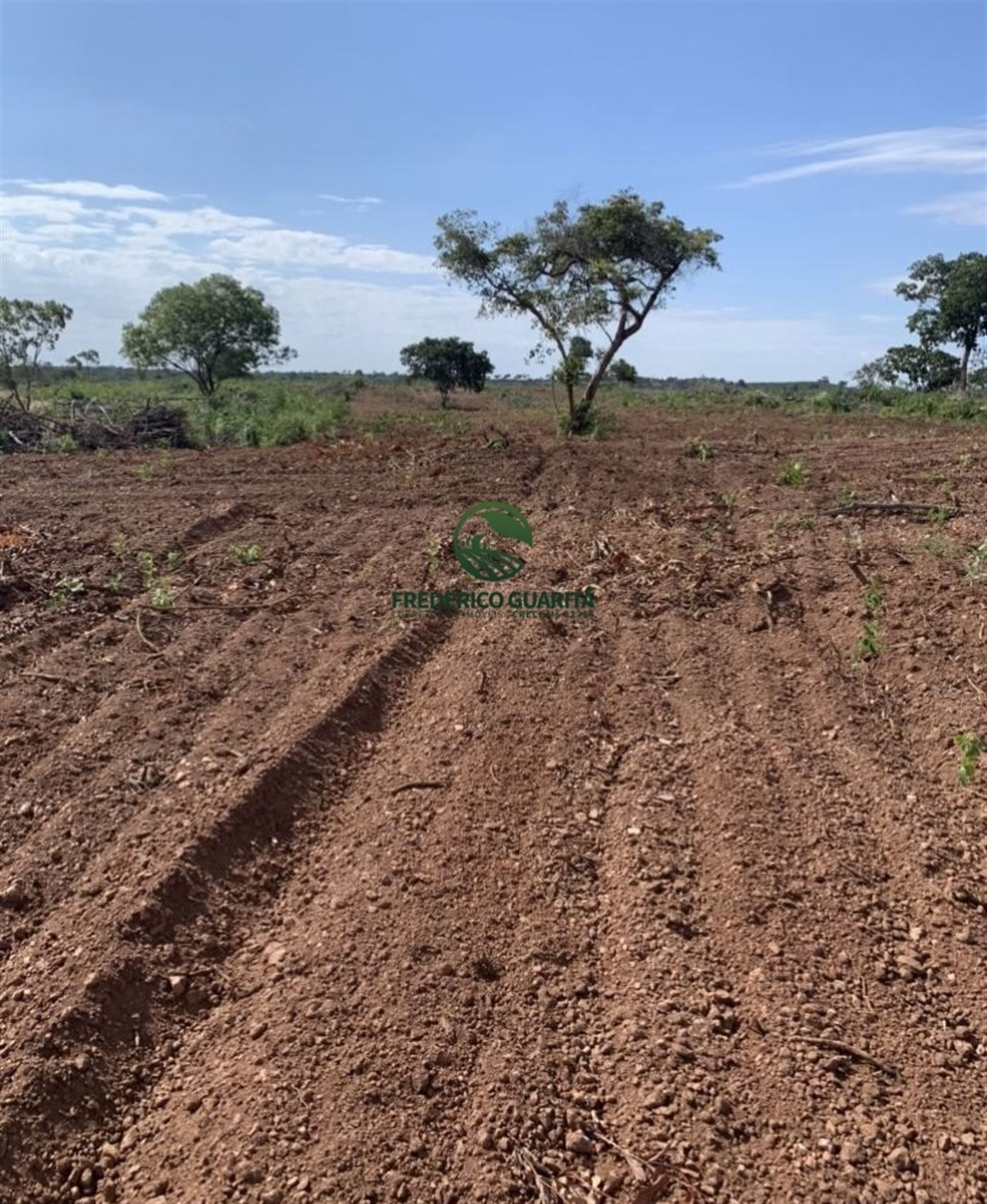 820 HECTARES - 45 KM DE ANASTACIO/MS