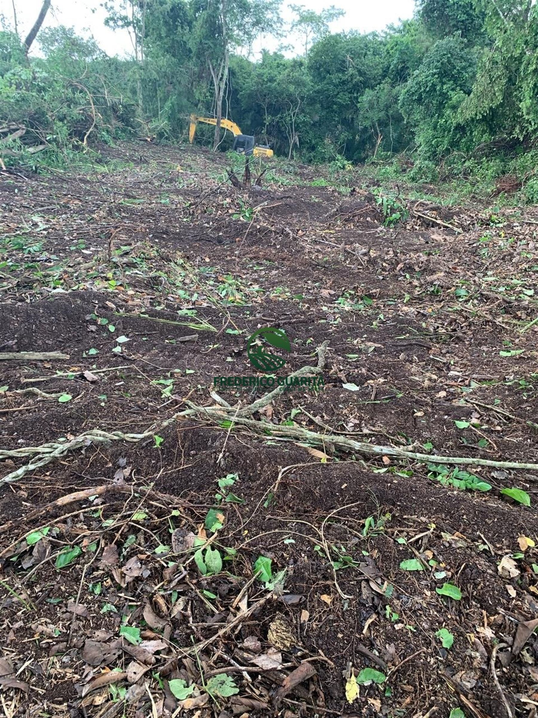 820 HECTARES - 45 KM DE ANASTACIO/MS