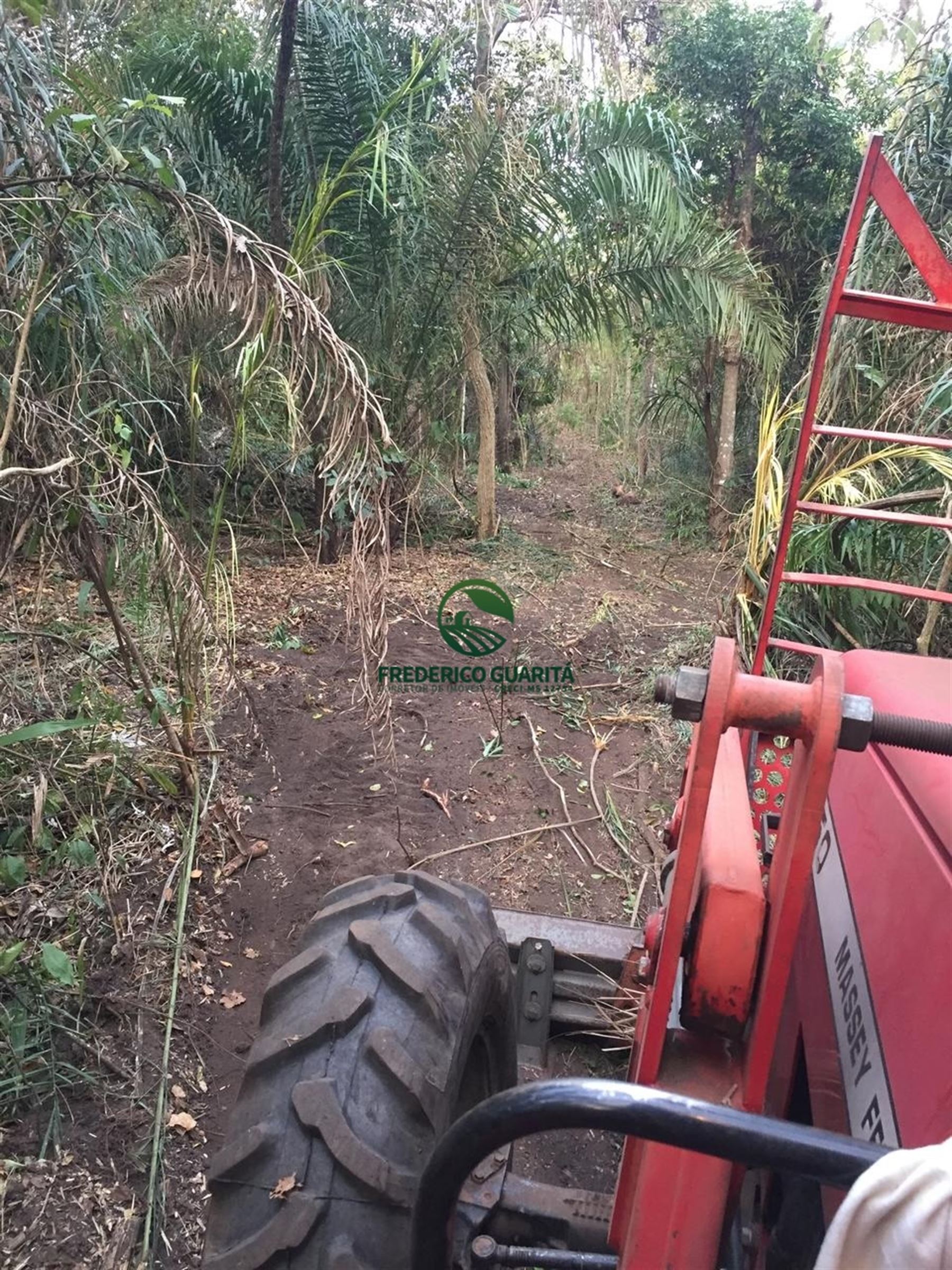 820 HECTARES - 45 KM DE ANASTACIO/MS