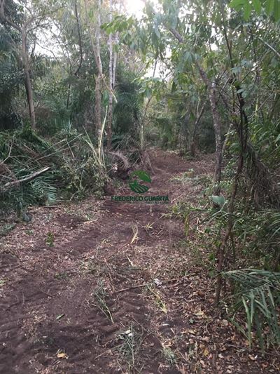 820 HECTARES - 45 KM DE ANASTACIO/MS