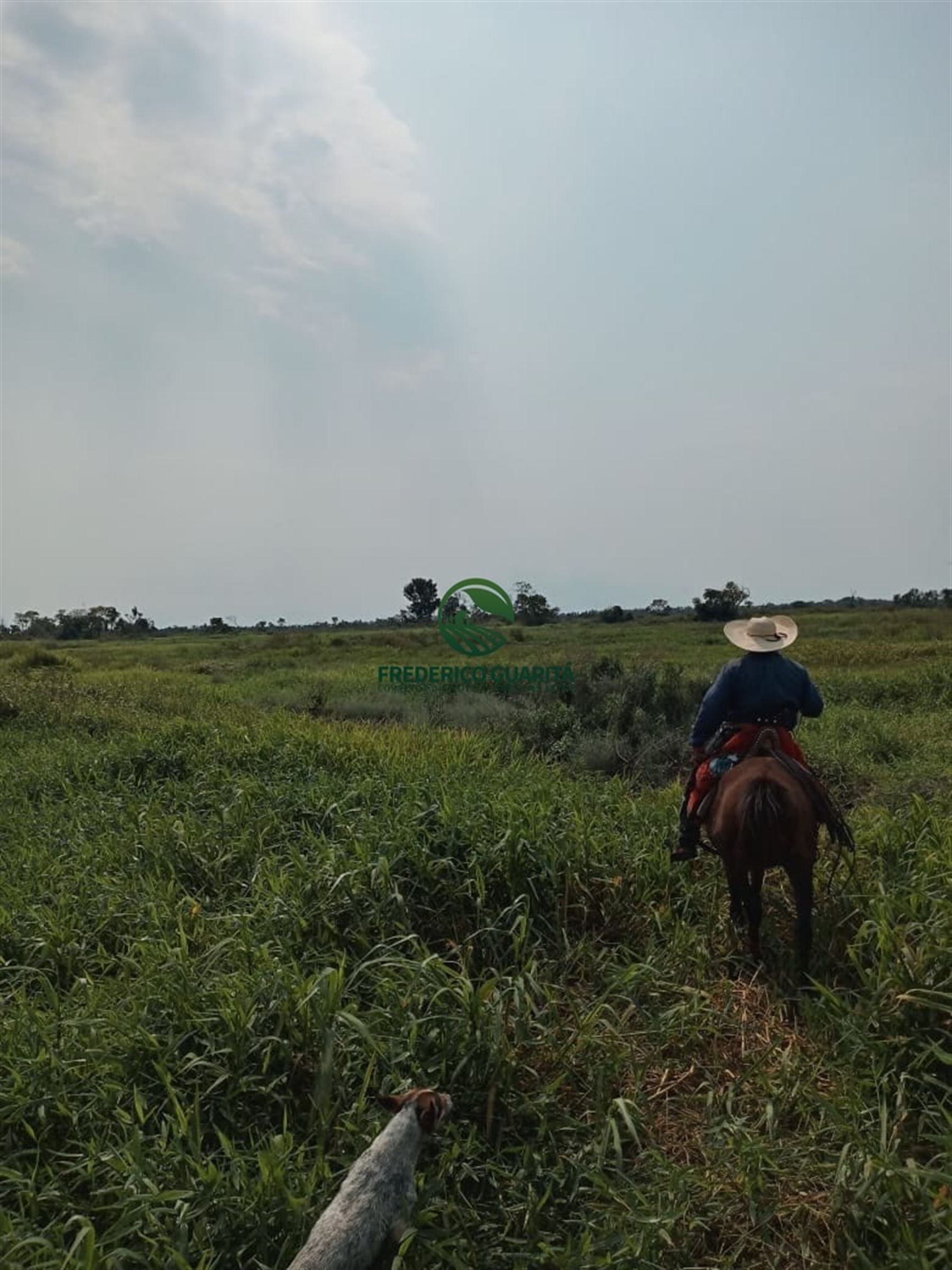 22.000 HECTARES - PAIAGUÁS, 300KM DE COXIM