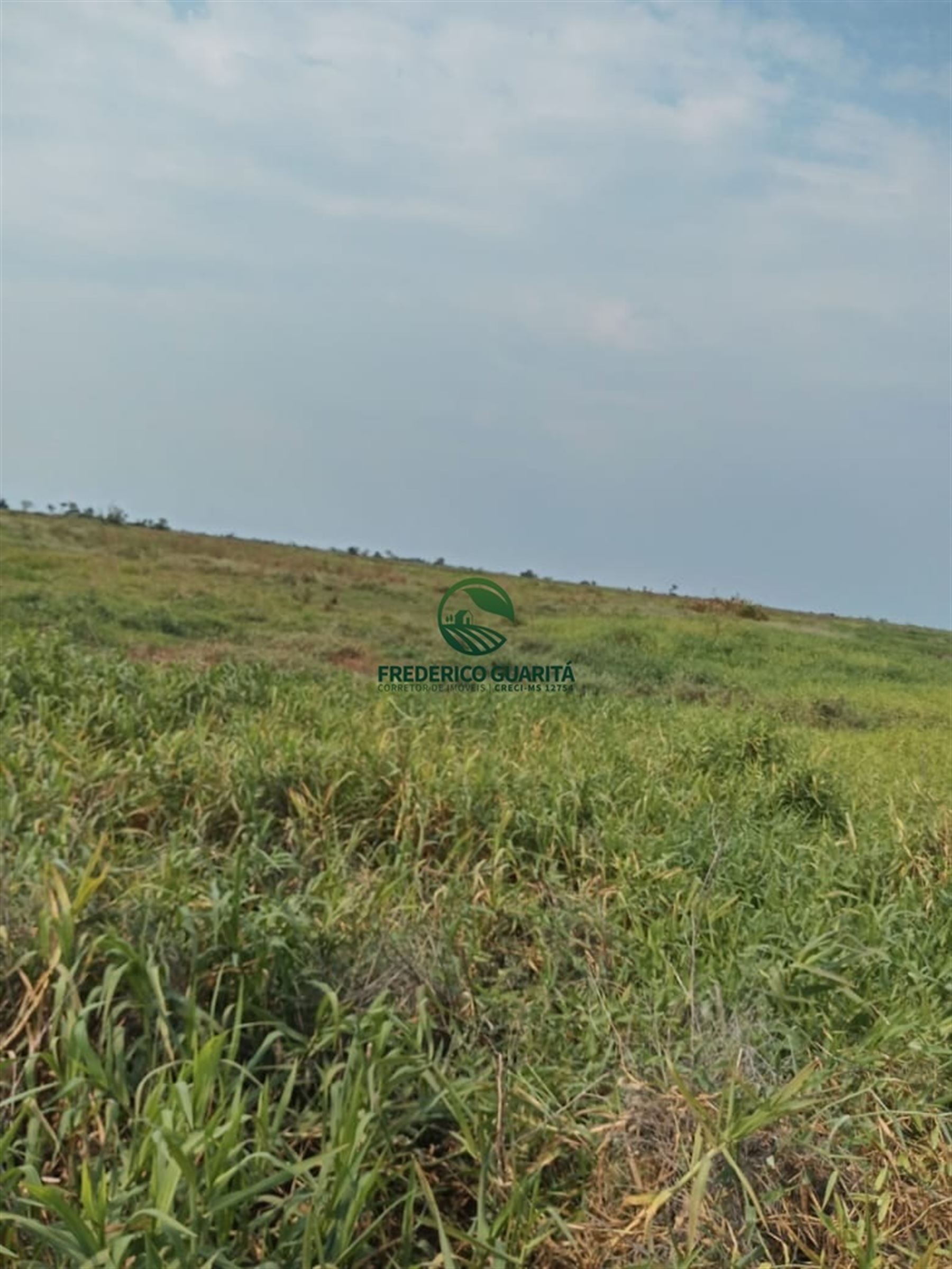 22.000 HECTARES - PAIAGUÁS, 300KM DE COXIM