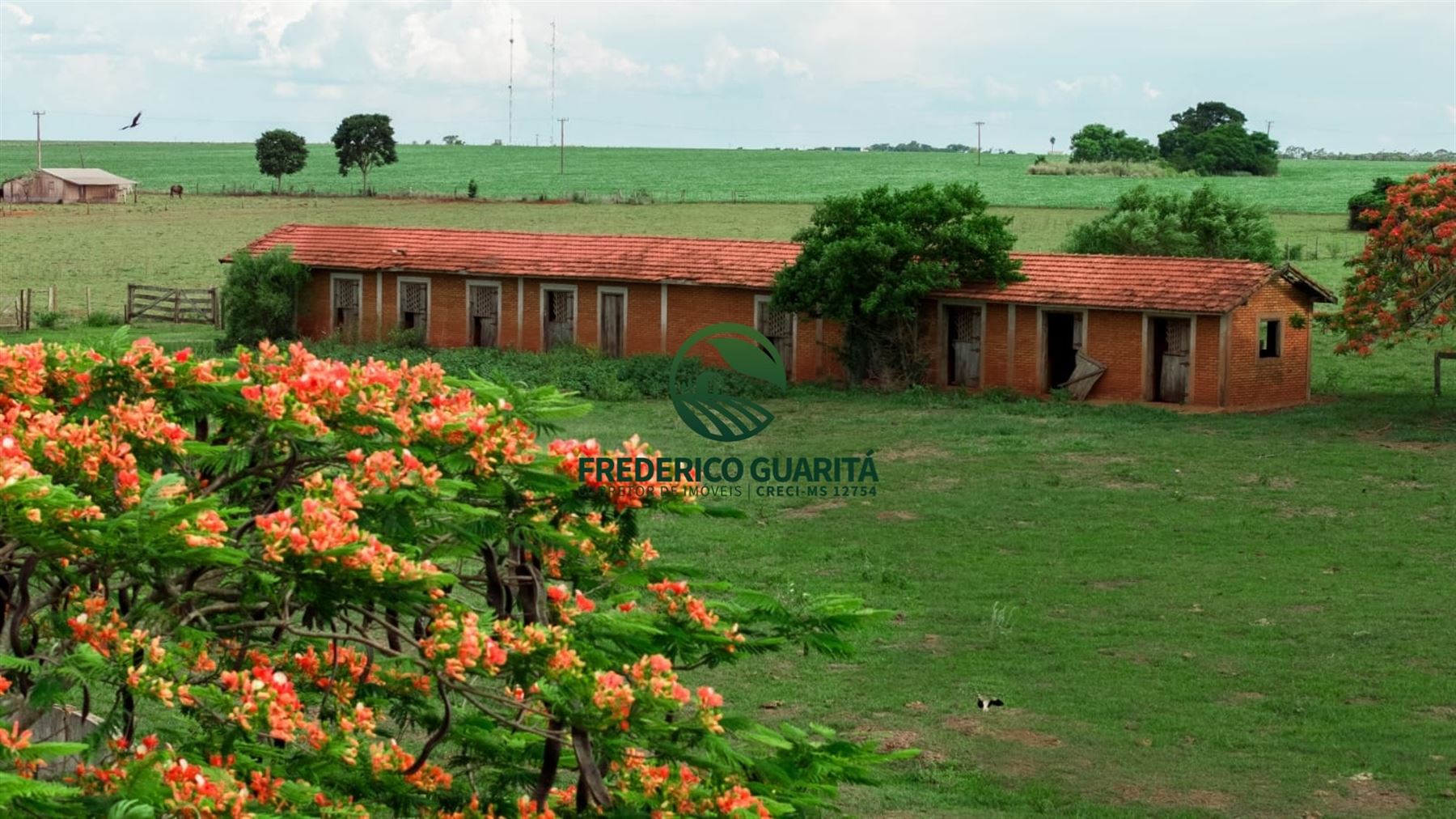 2.686,18 HECTARES - BR 463 - Dourados/Ponta Porã/MS