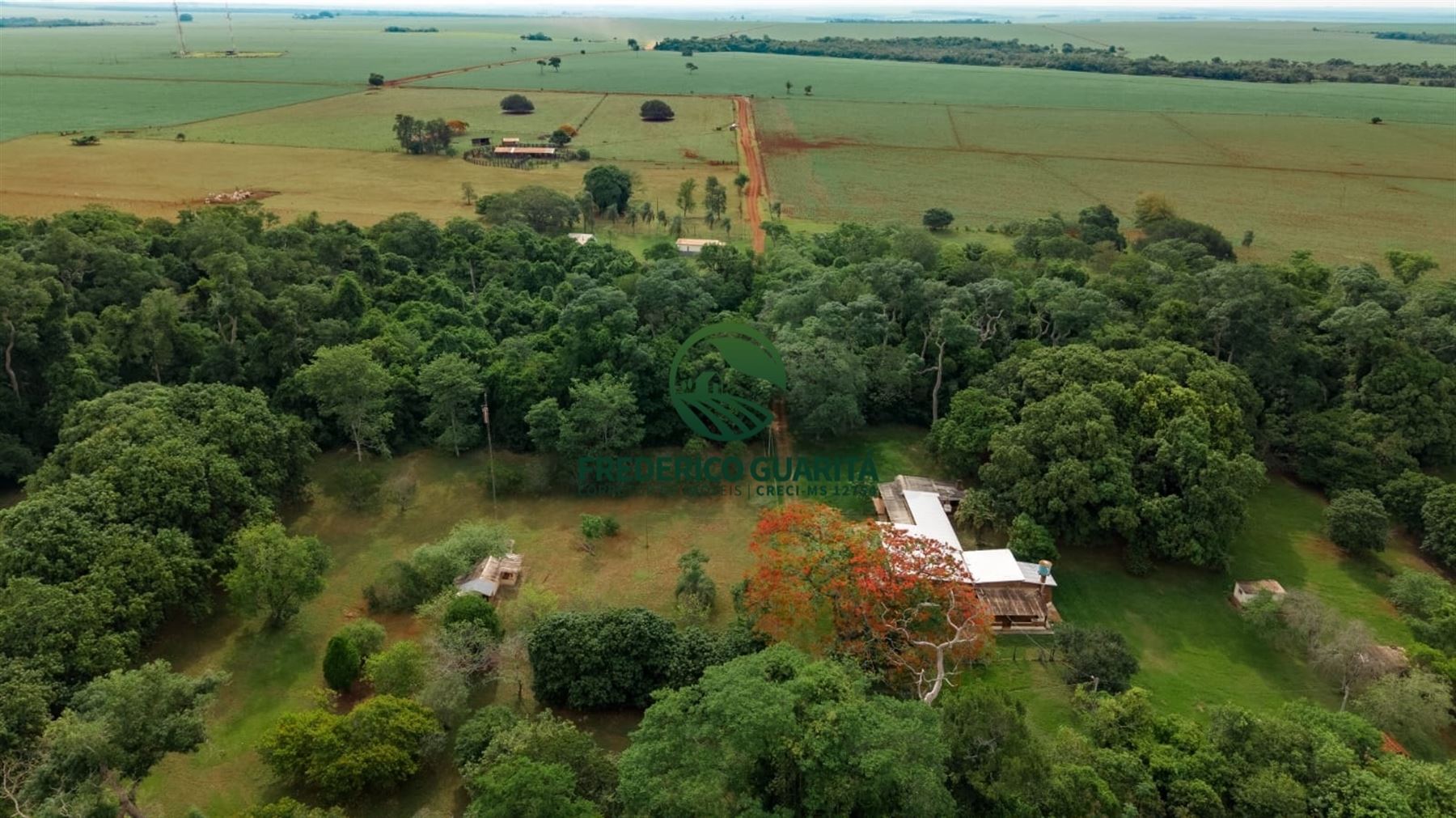 2.686,18 HECTARES - BR 463 - Dourados/Ponta Porã/MS