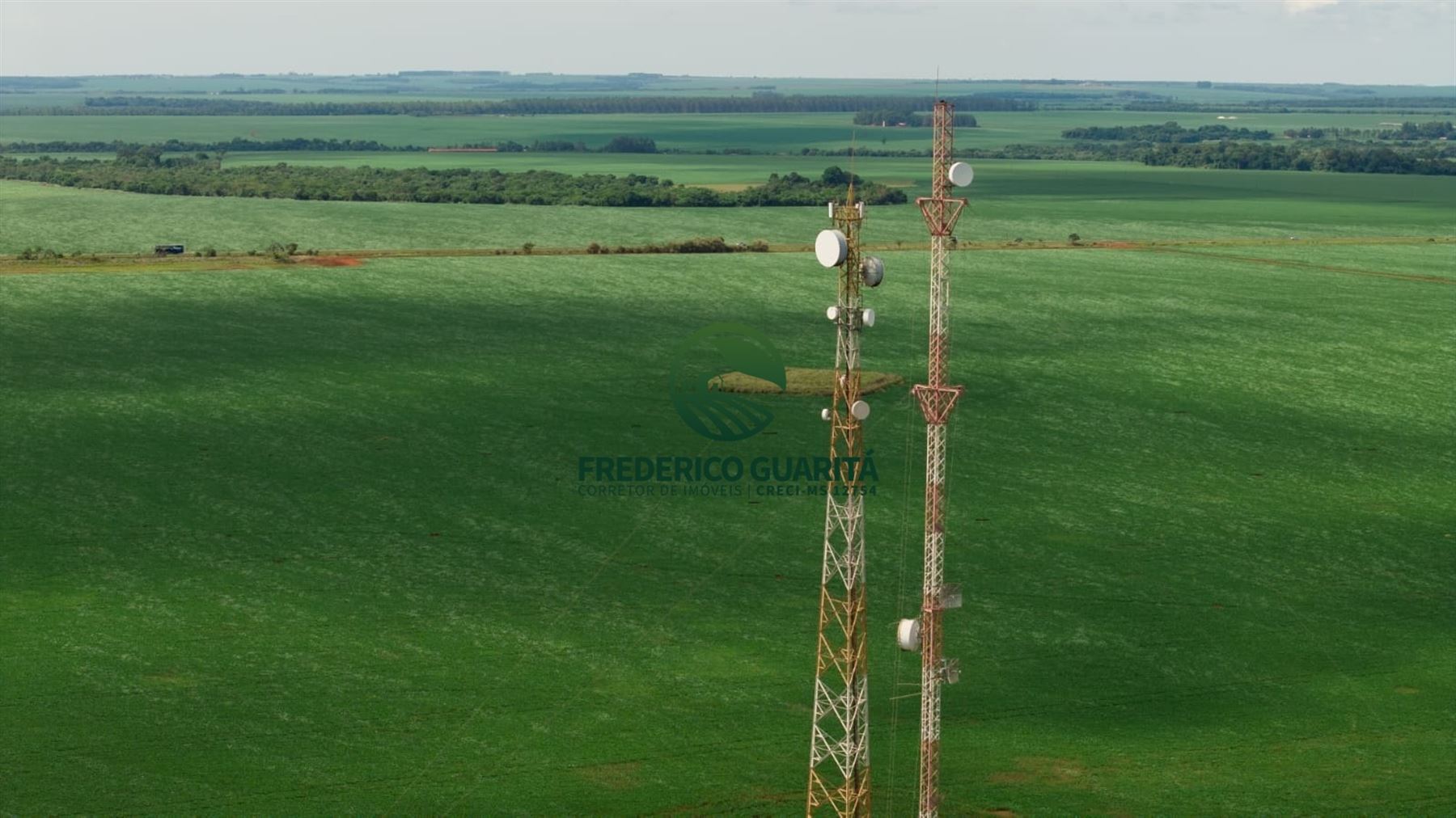 2.686,18 HECTARES - BR 463 - Dourados/Ponta Porã/MS