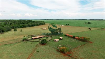 2.686,18 HECTARES - BR 463 - Dourados/Ponta Porã/MS