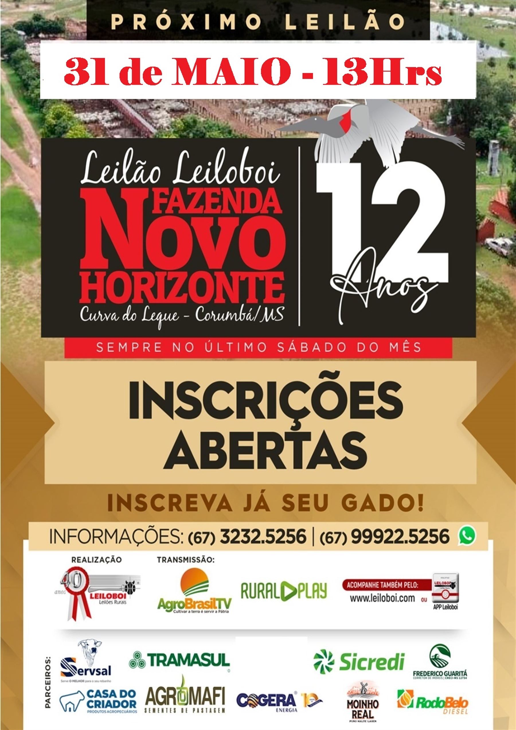 142º Leilão Leiloboi Fazenda Novo Horizonte