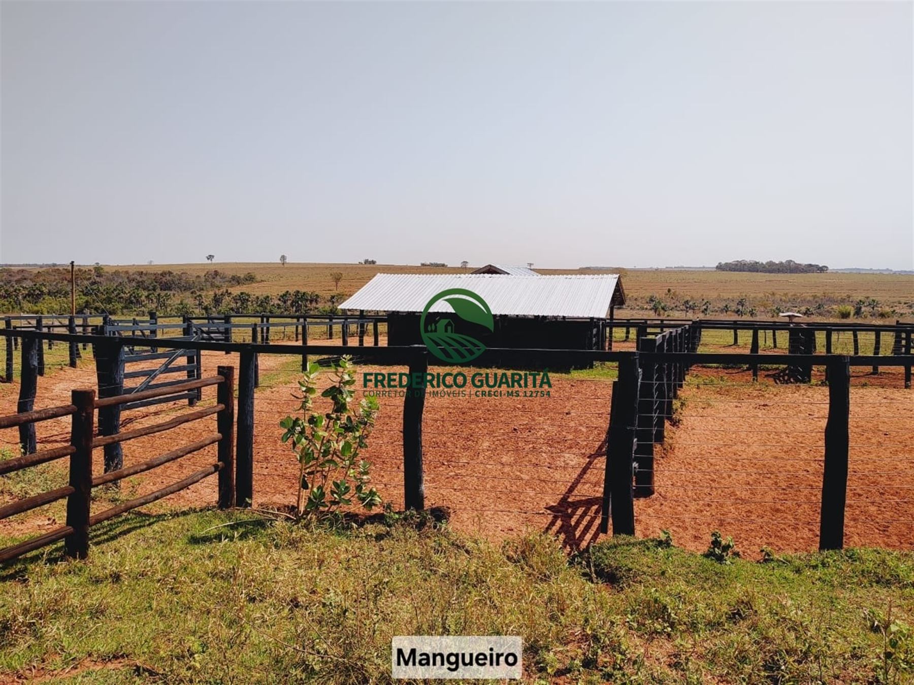 1.070 HECTARES - 40 KM DE CAMPO GRANDE/MS