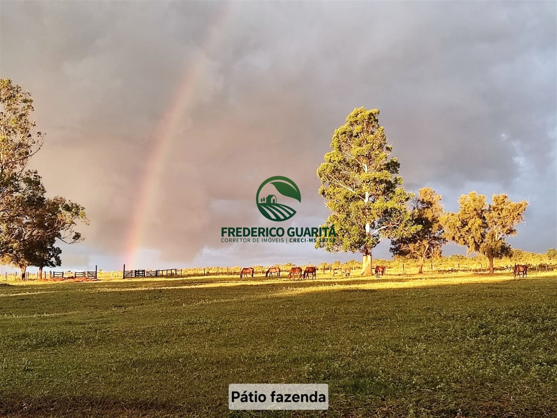 1.070 HECTARES - 40 KM DE CAMPO GRANDE/MS