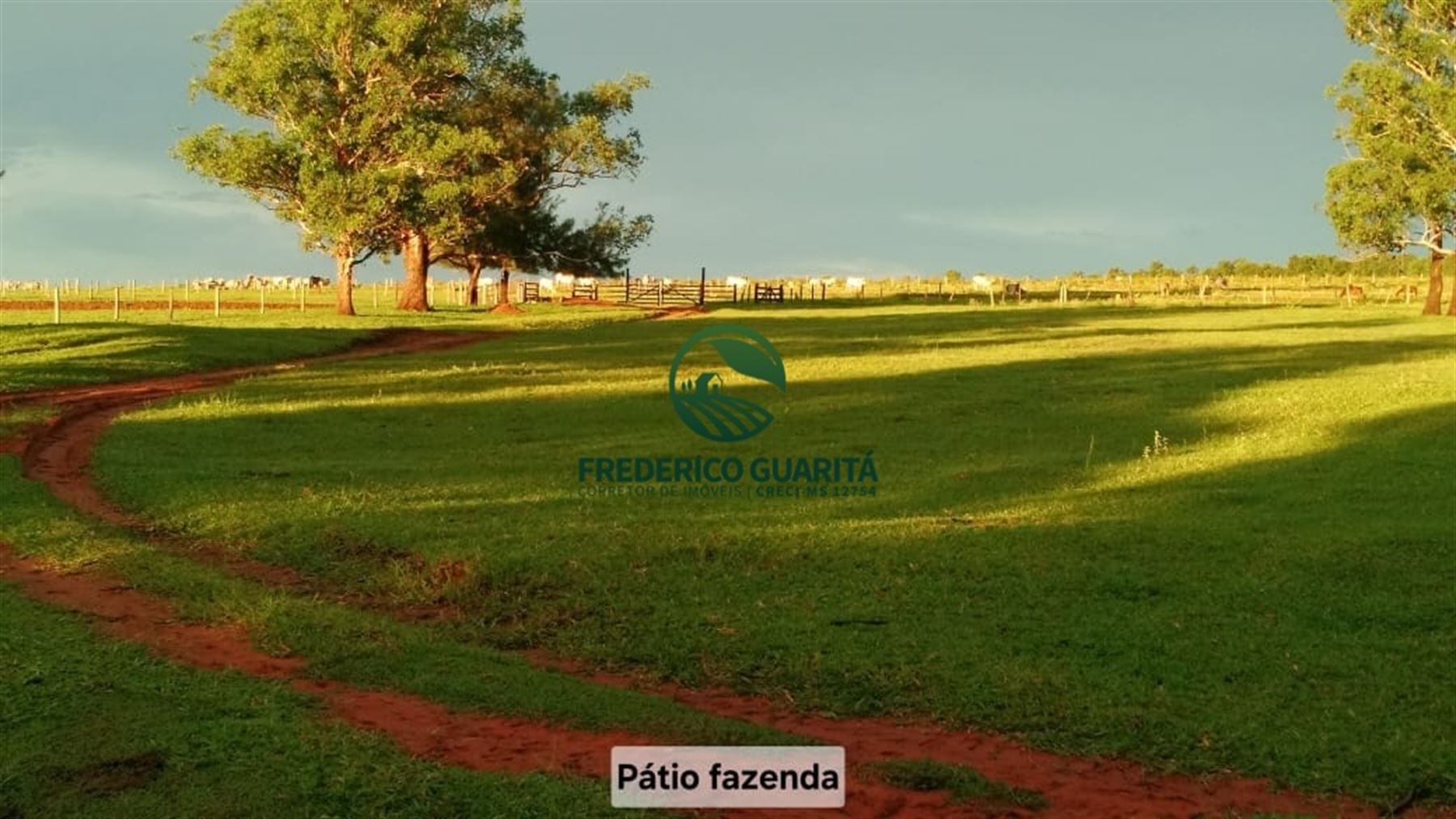 1.070 HECTARES - 40 KM DE CAMPO GRANDE/MS