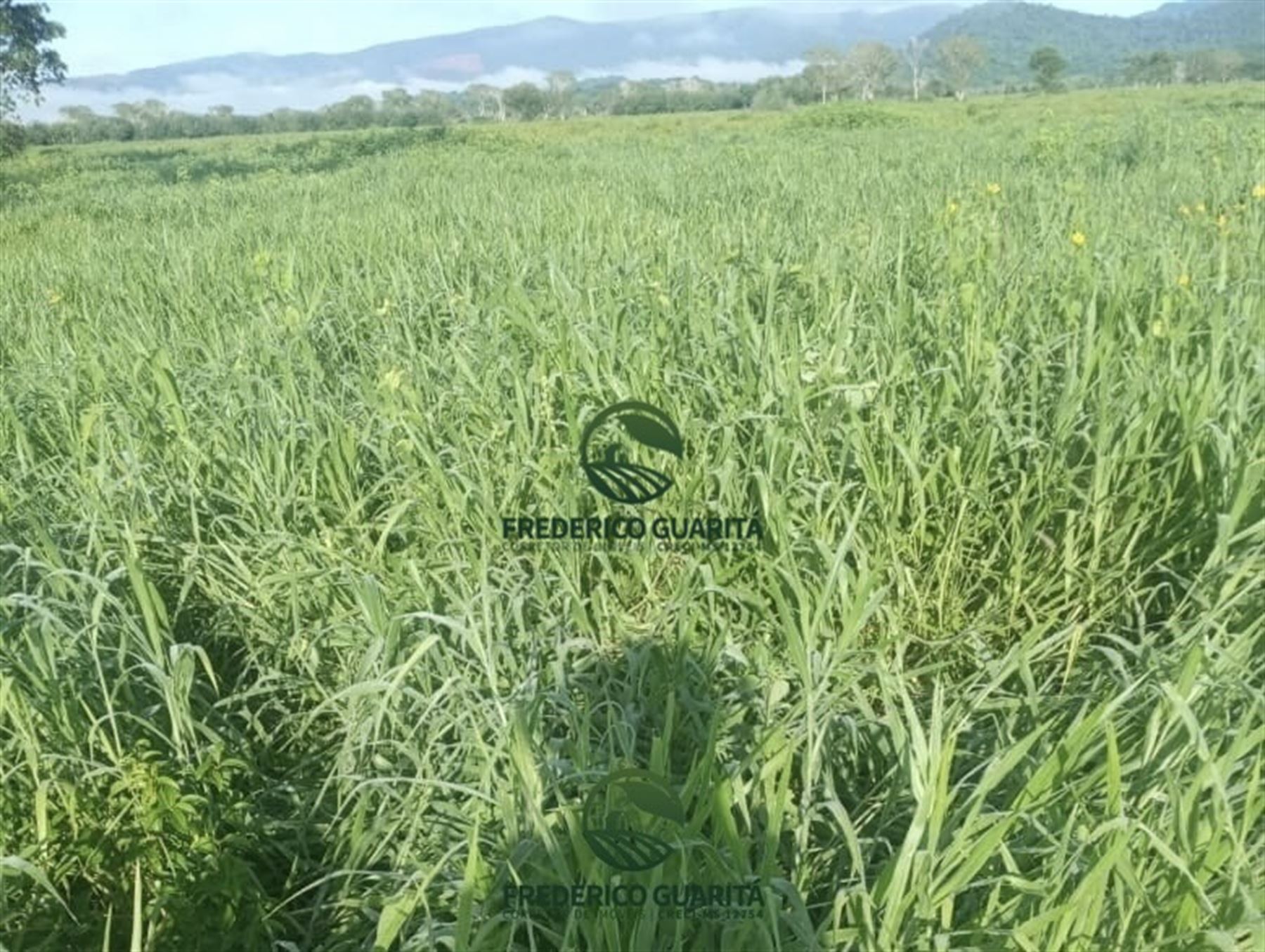 7.300 HECTARES, 35KM DE CORUMBÁ/MS