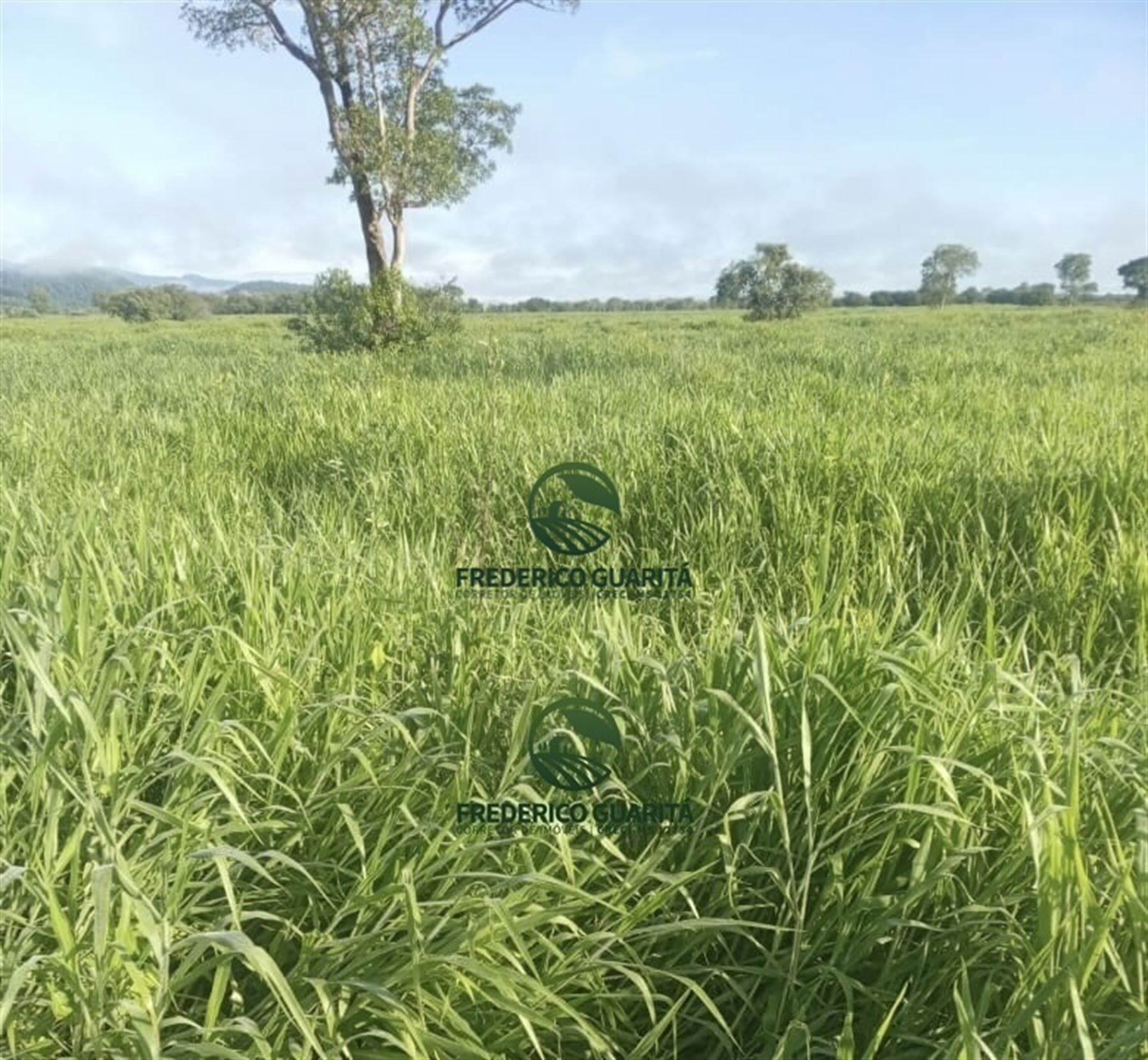 7.300 HECTARES, 35KM DE CORUMBÁ/MS