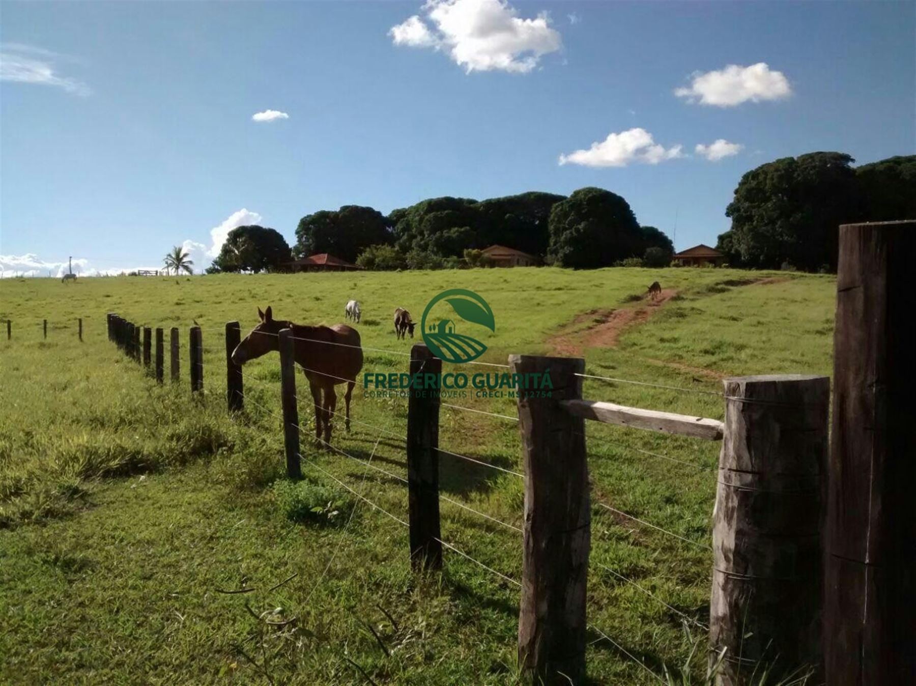 2.236 HECTARES - 16KM DE 70KM DE CAMAPUÃ/MS