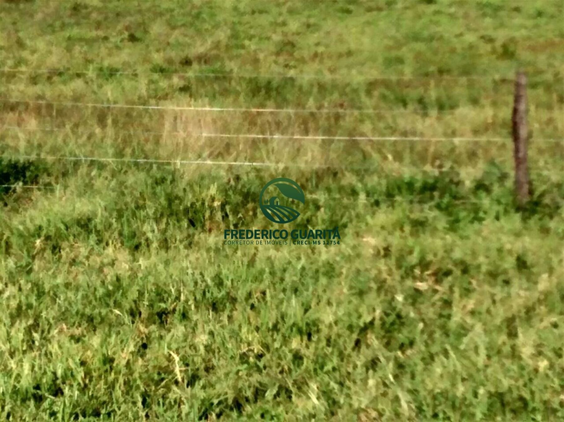 2.236 HECTARES - 16KM DE 70KM DE CAMAPUÃ/MS