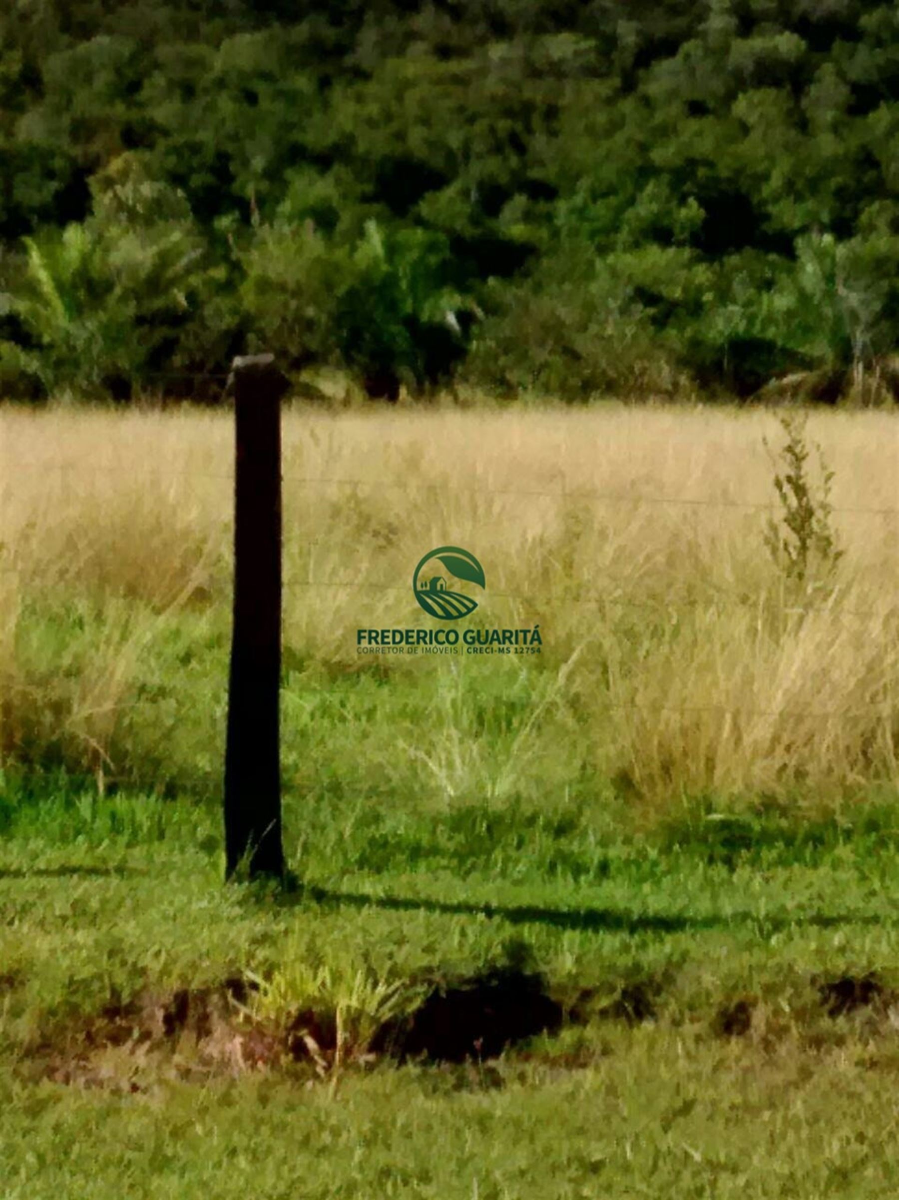 2.236 HECTARES - 16KM DE 70KM DE CAMAPUÃ/MS