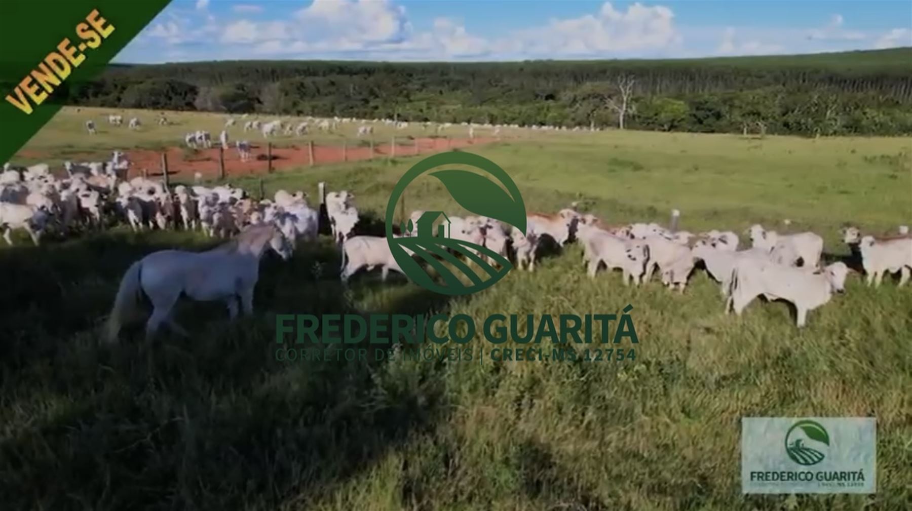 290 HECTARES - RIBAS DO RIO PARDO/MS