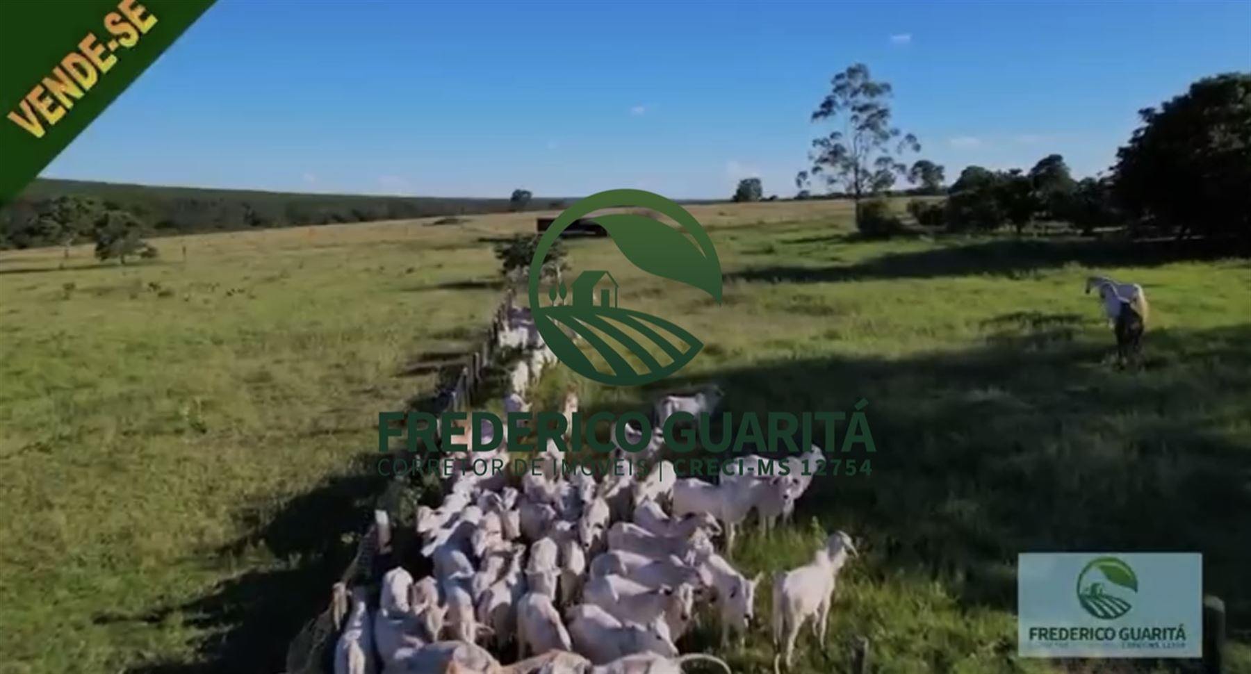 290 HECTARES - RIBAS DO RIO PARDO/MS