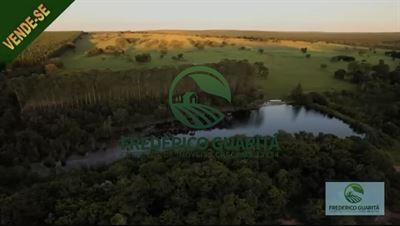 290 HECTARES - RIBAS DO RIO PARDO/MS
