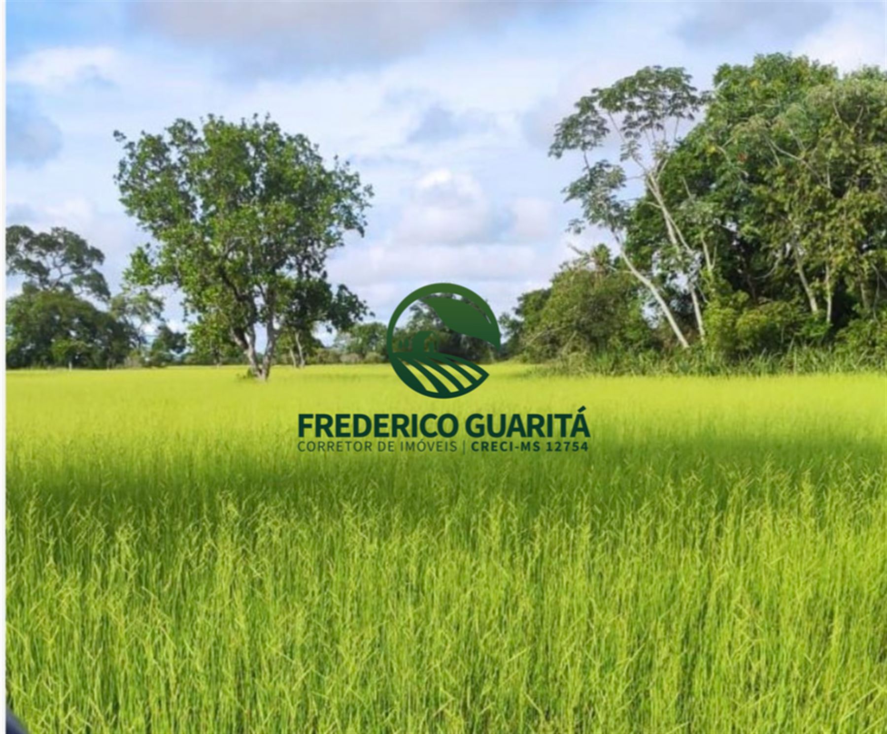 7.453 HECTARES - PANTANAL AQUIDAUANA/MS