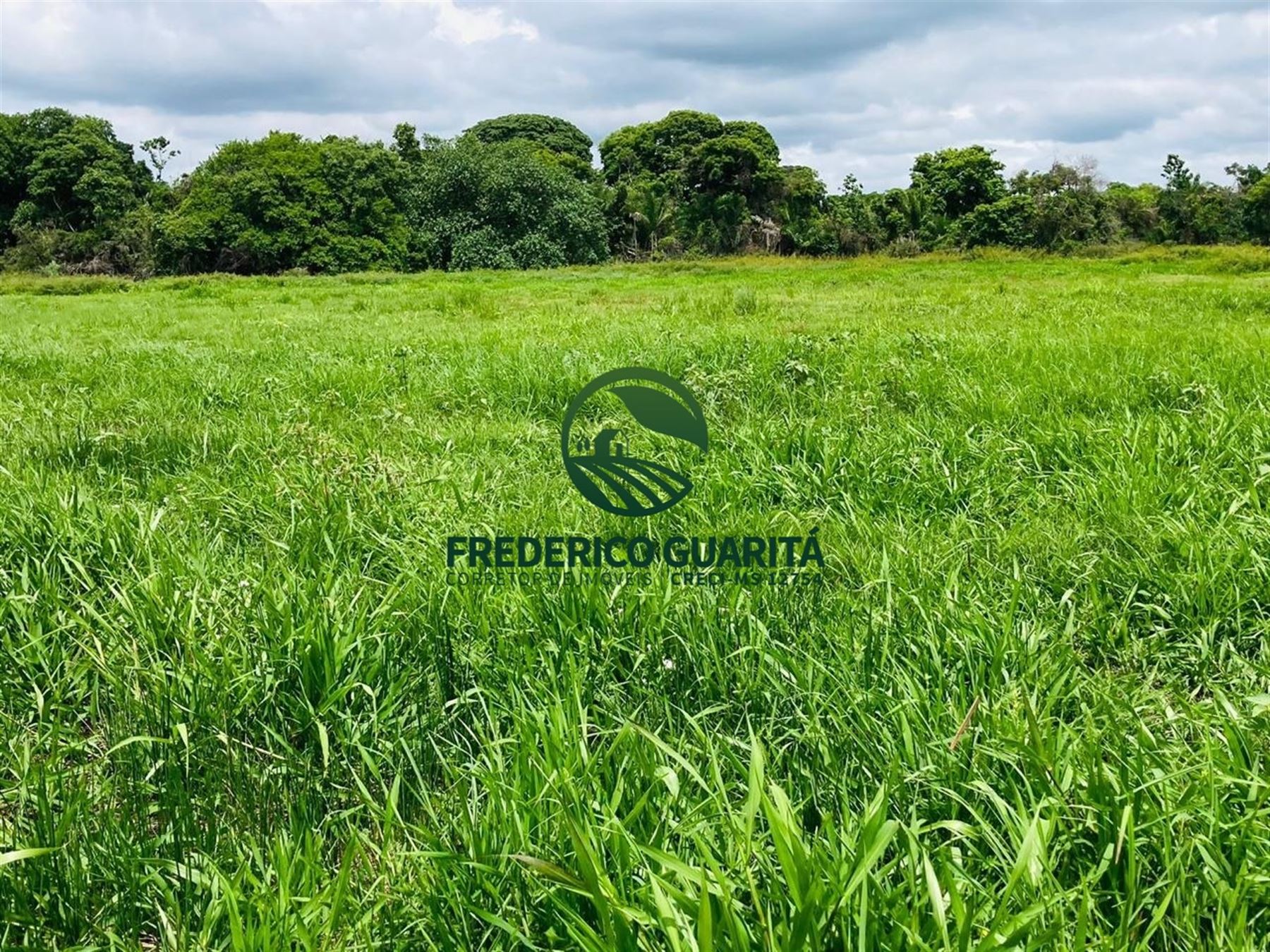 7.453 HECTARES - PANTANAL AQUIDAUANA/MS