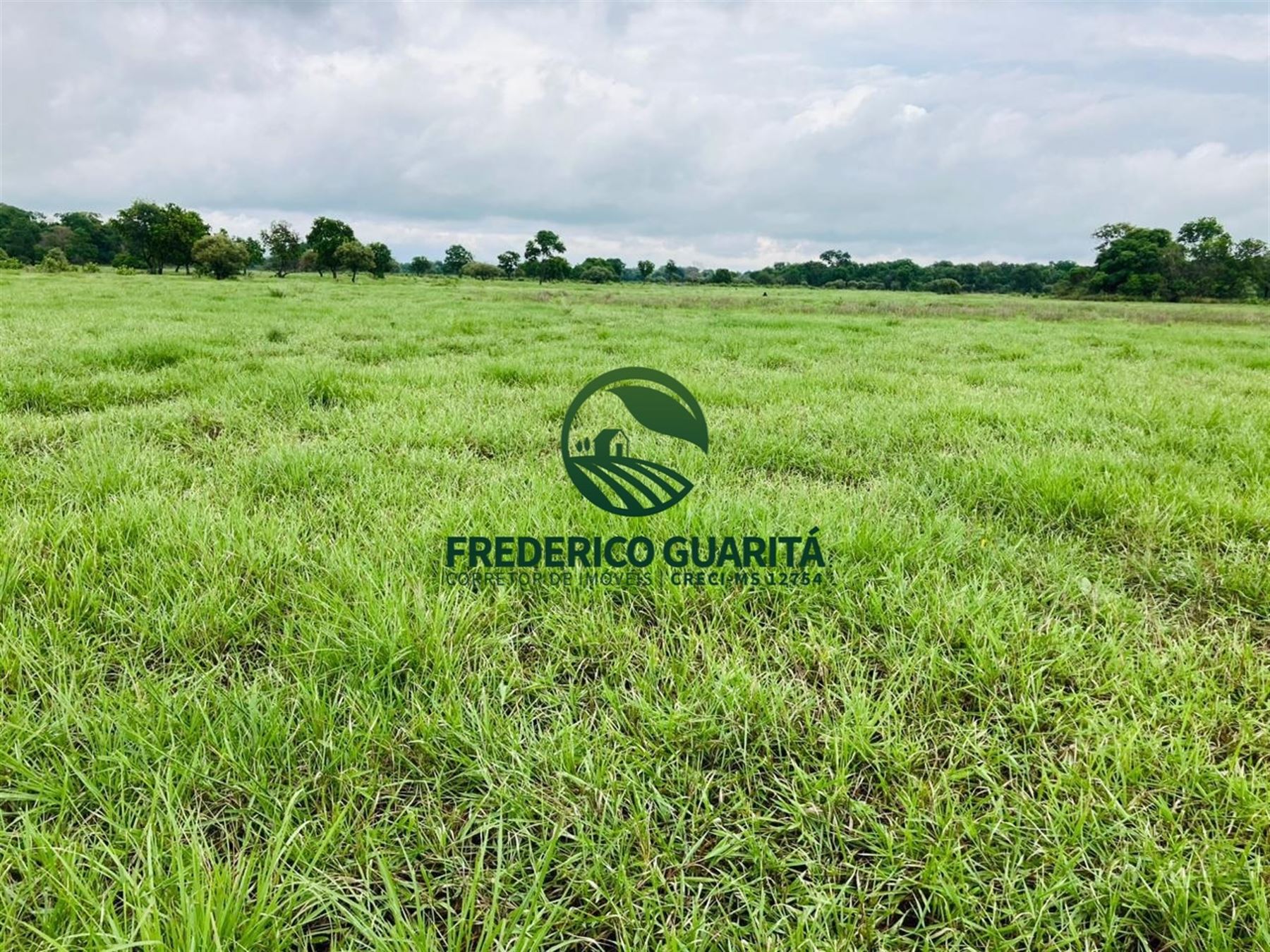 7.453 HECTARES - PANTANAL AQUIDAUANA/MS