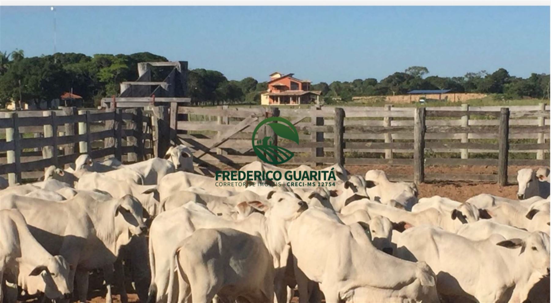 7.453 HECTARES - PANTANAL AQUIDAUANA/MS