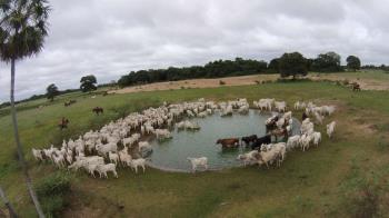 COMITIVA PANTANEIRA NO LEILÃO FAZENDA NOVO HORIZONTE - PARTE1